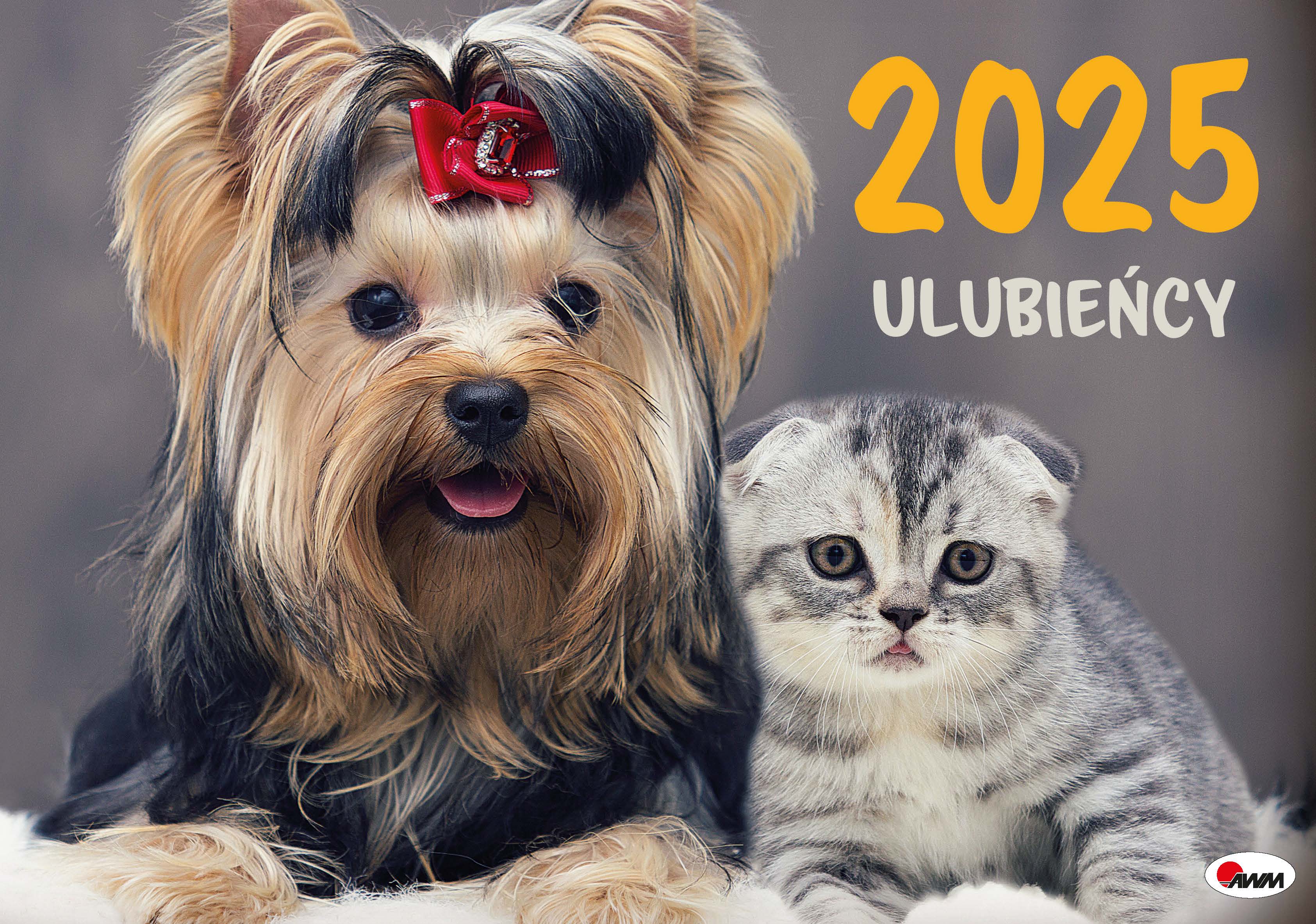 Kalendarz 2025 albumowy Ulubieńcy - Książki