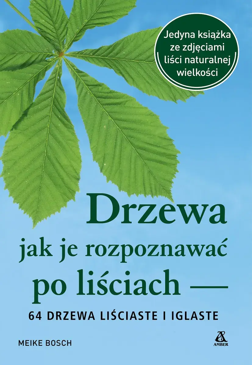 Drzewa. Jak je rozpoznawać po liściach - Książki