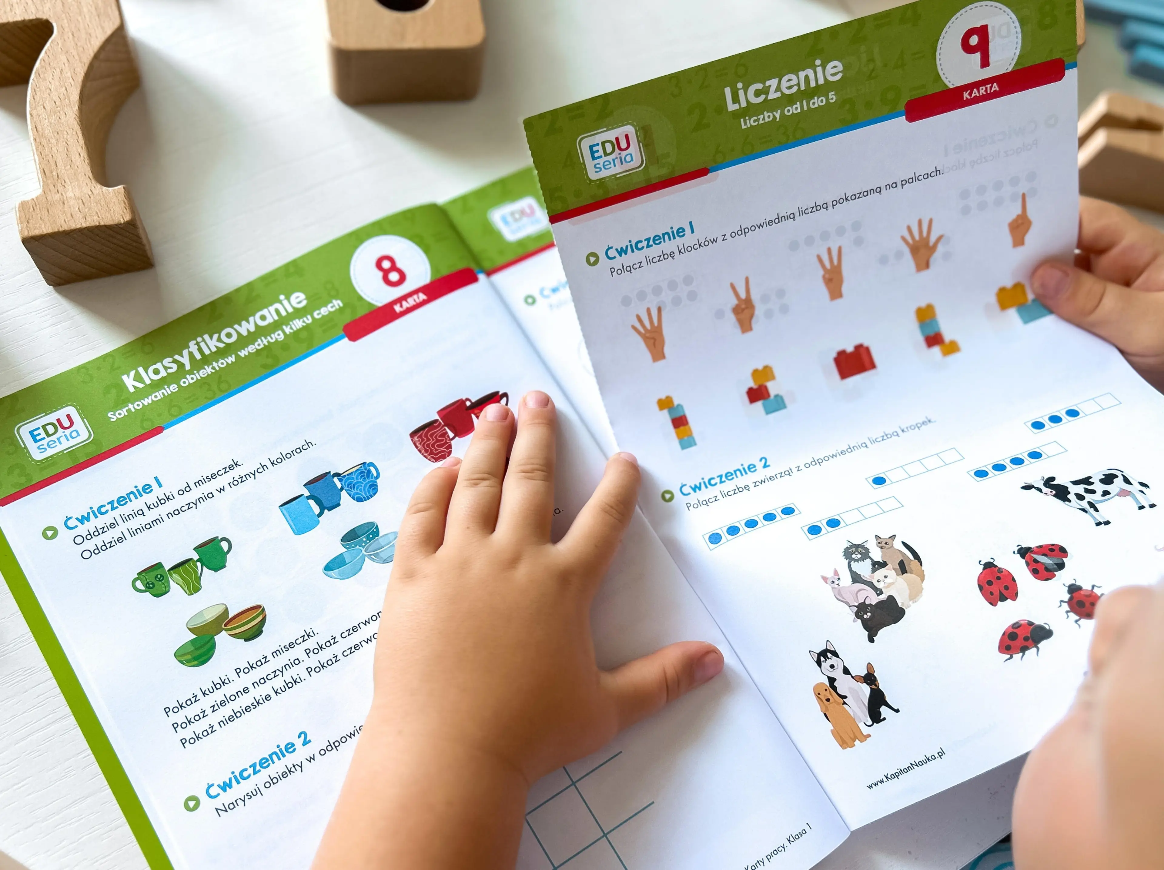 EDUseria Matematyka Karty pracy kl.1 Kapitan Nauka - Książki