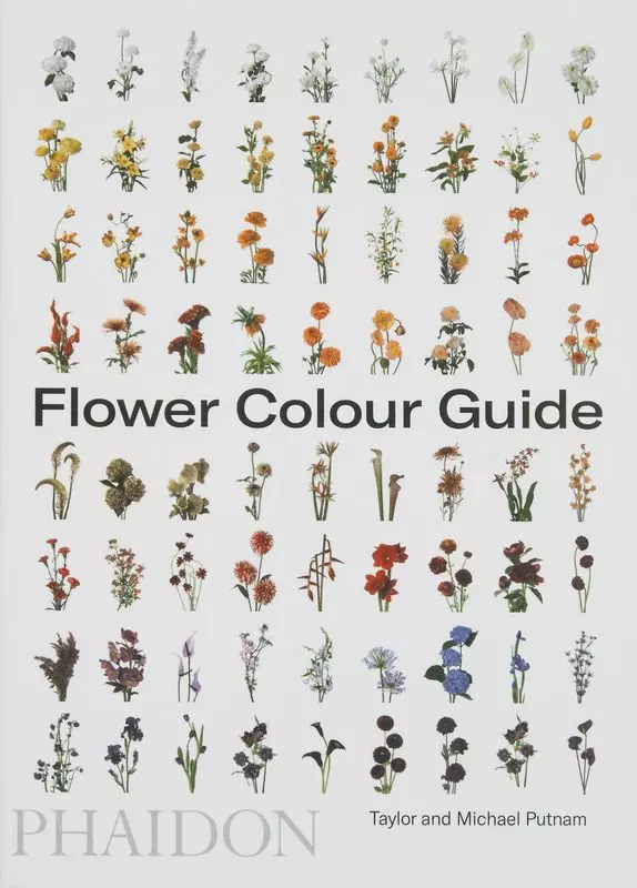 Flower Colour Guide wer. angielska - Książki