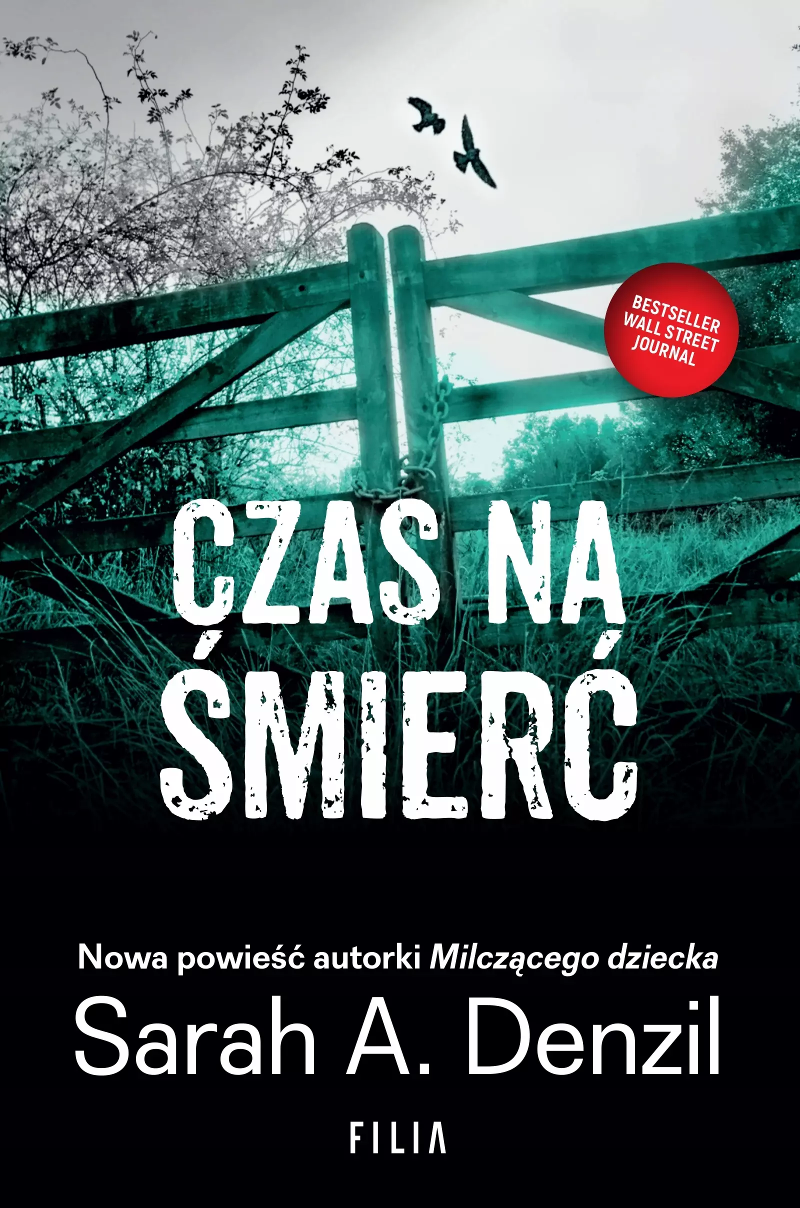 Czas na śmierć - Książki