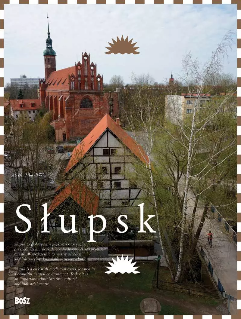Słupsk - Książki