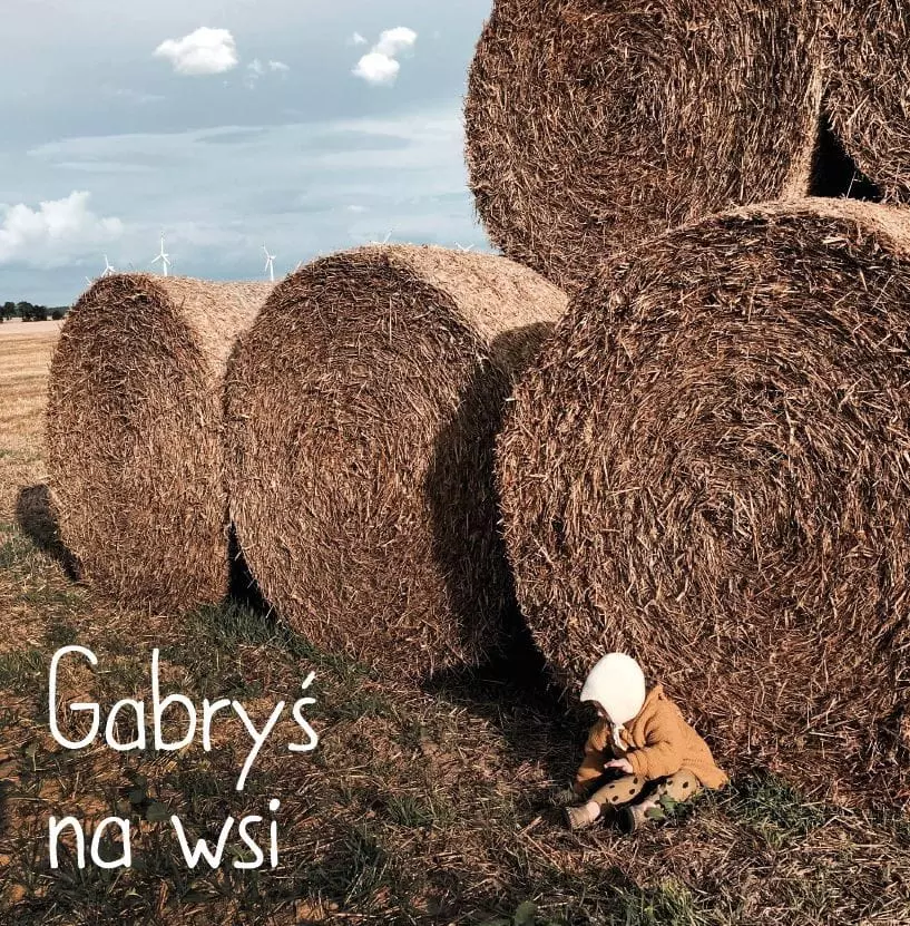 Gabryś na wsi - Książki