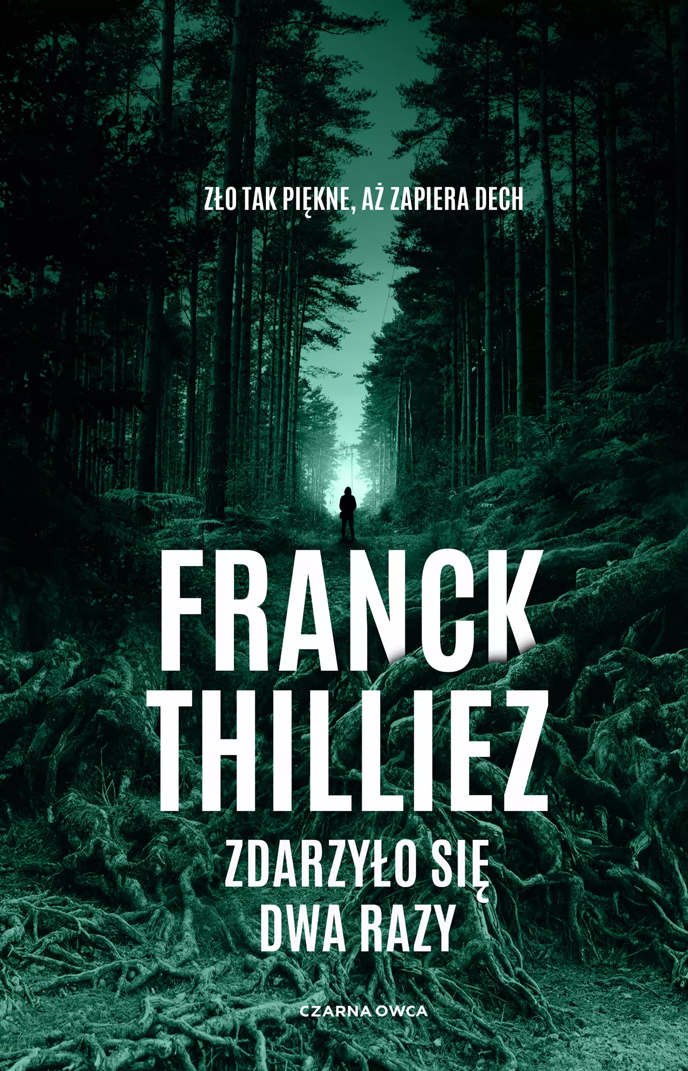 Zdarzyło się dwa razy - Książki