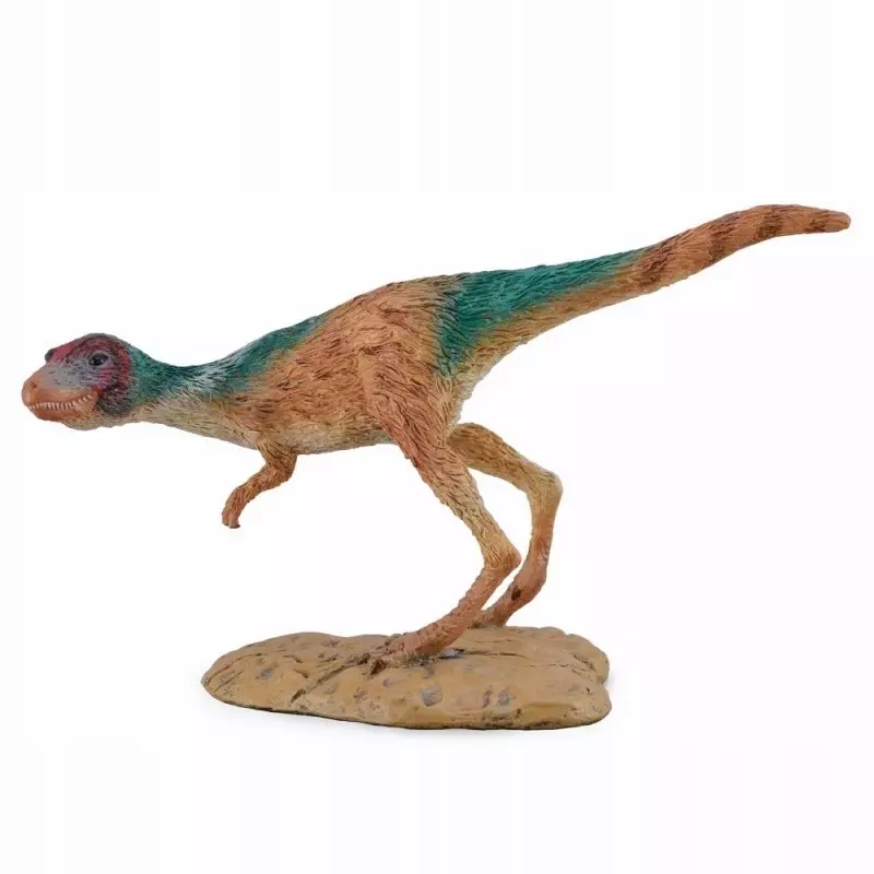 Dinozaur Juvenile M - Książki