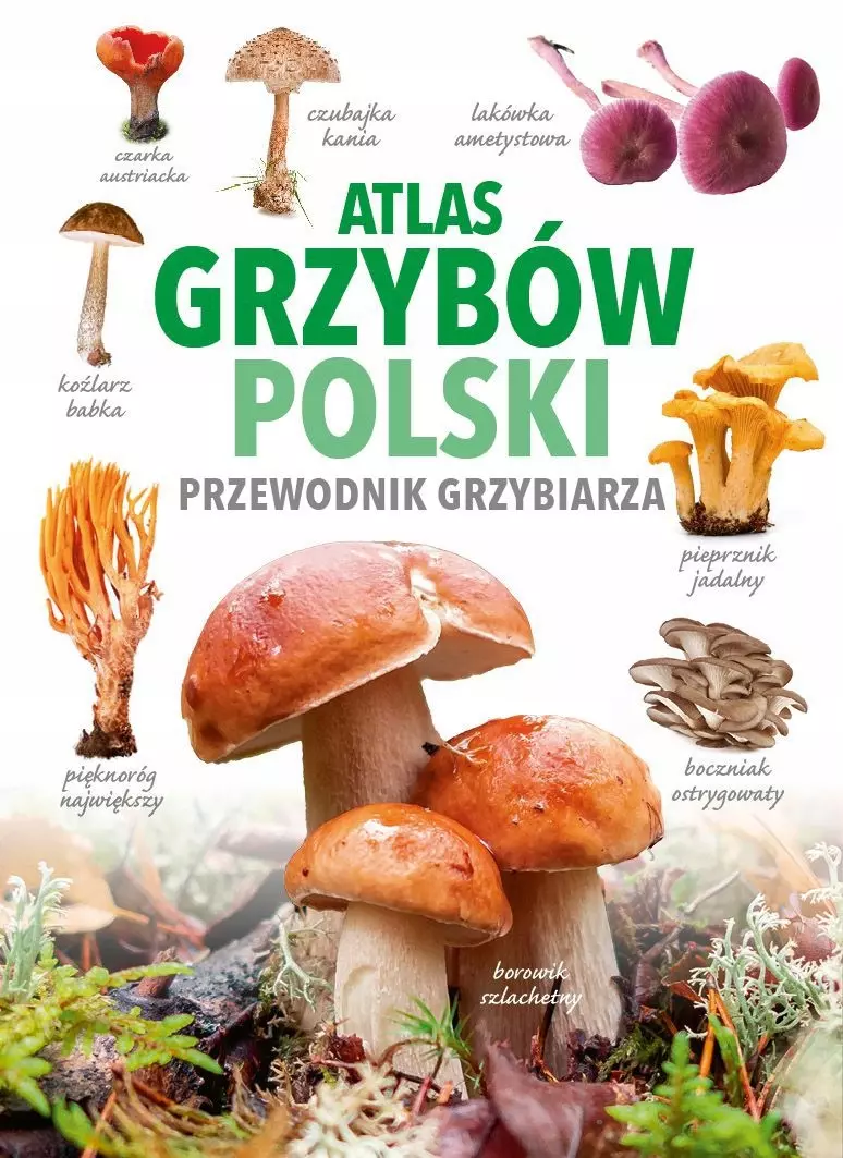 Atlas Grzybów Polski - Książki