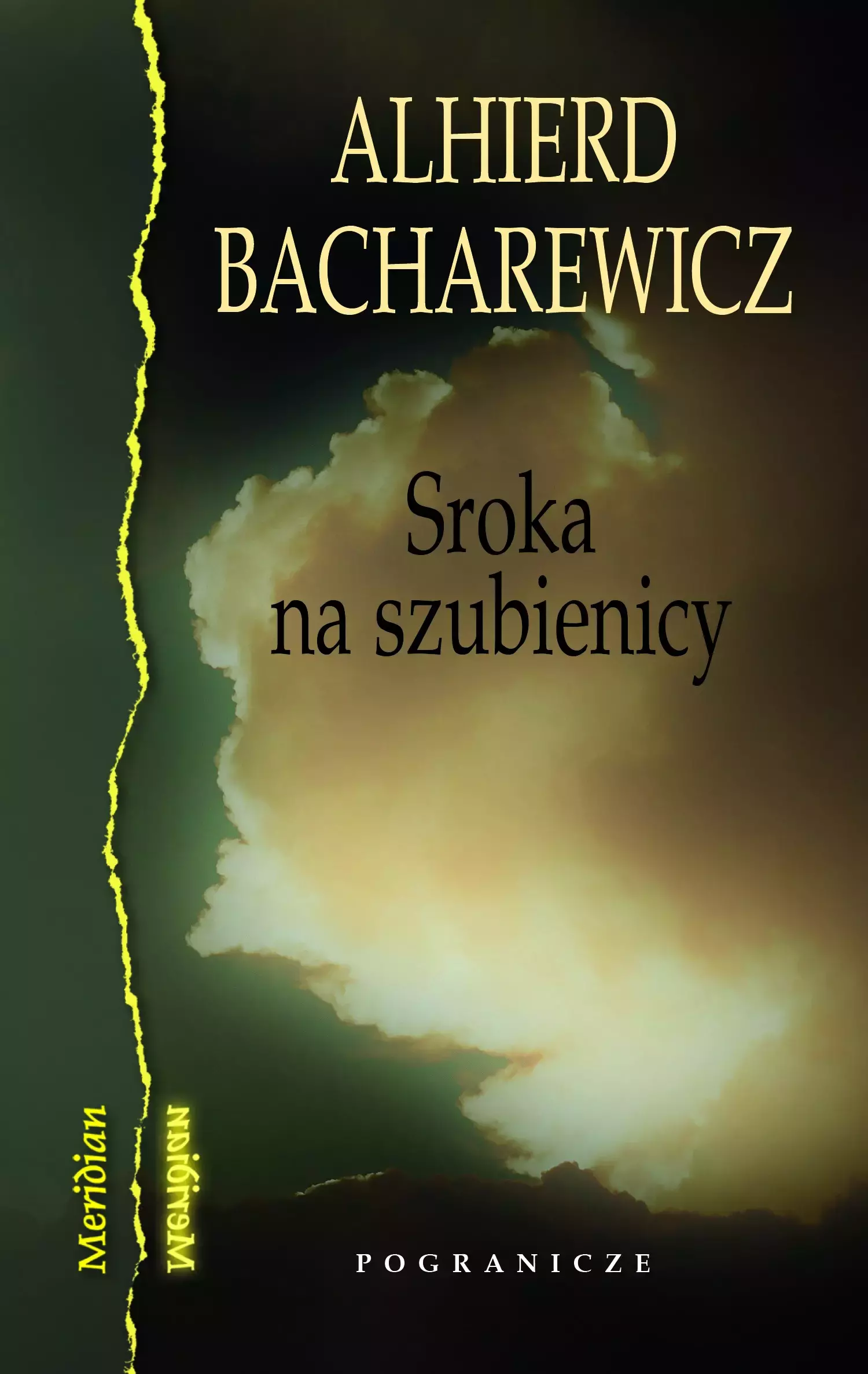 Sroka na szubienicy - Książki
