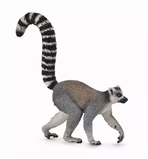 Lemur - Gry
