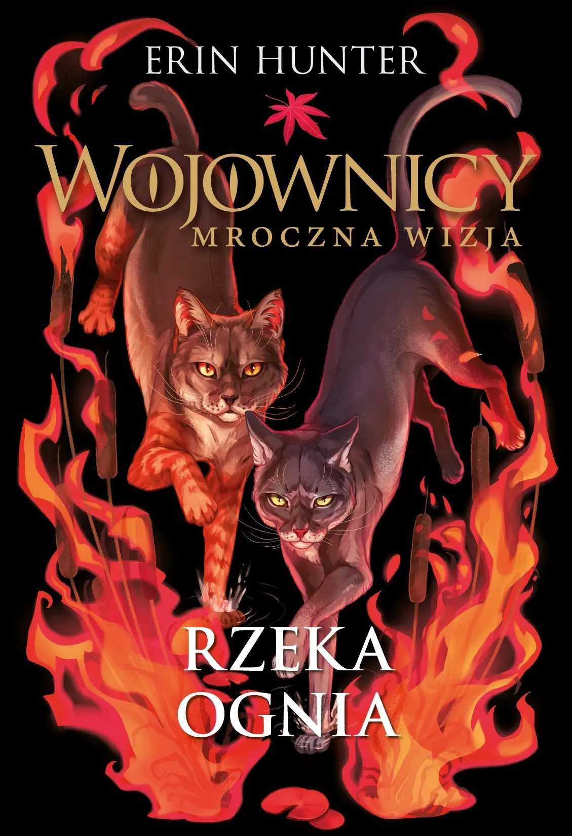 Wojownicy. Rzeka ognia - Książki