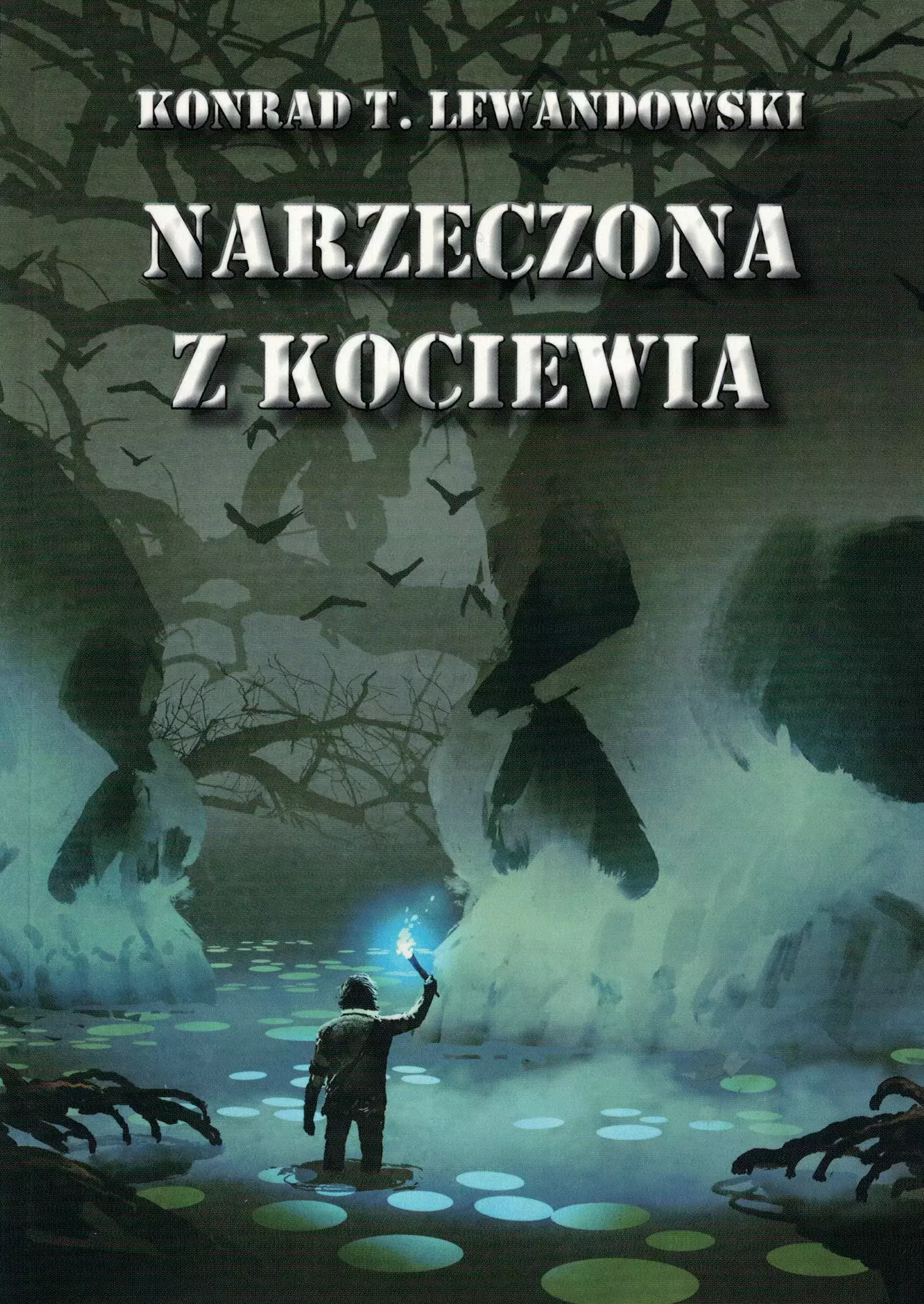 Narzeczona z Kociewia - Książki