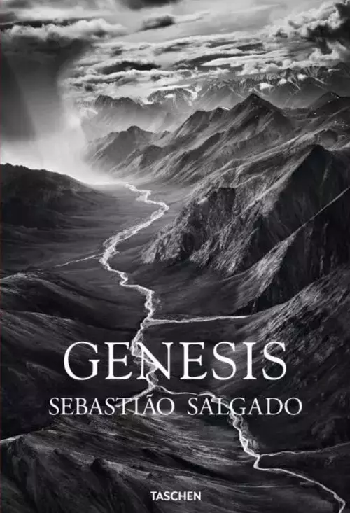 Genesis - Książki
