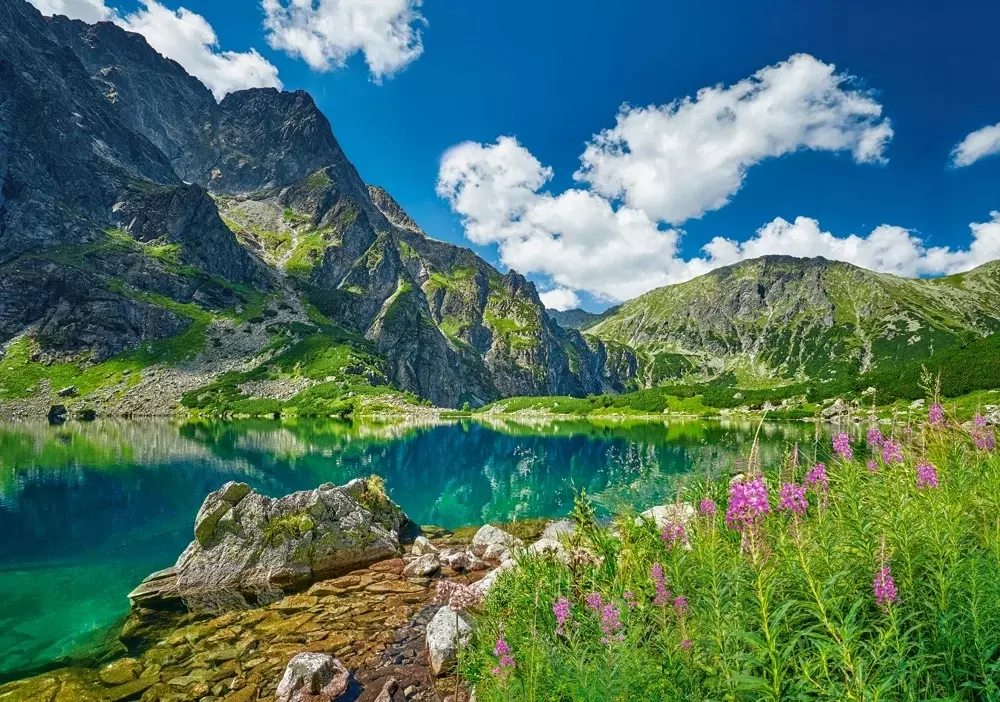 PUZZLE 500 UKŁADANKA KRAJOBRAZ GÓRY RYSY CZARNY STAW GĄSIENICOWY 9+ CASTOR - Puzzle