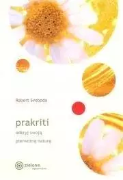 Prakriti odkryj swoją prawdziwą naturę w.2024 - Książki