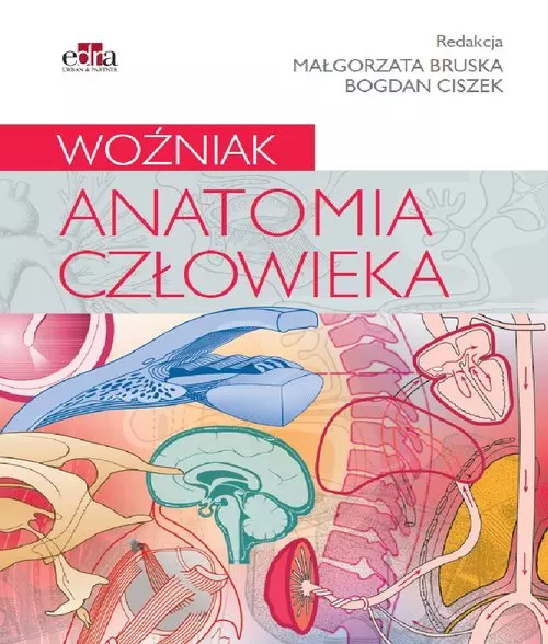 Anatomia człowieka. Woźniak - Książki