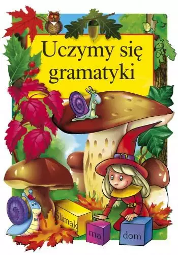 Uczymy się gramatyki - Książki