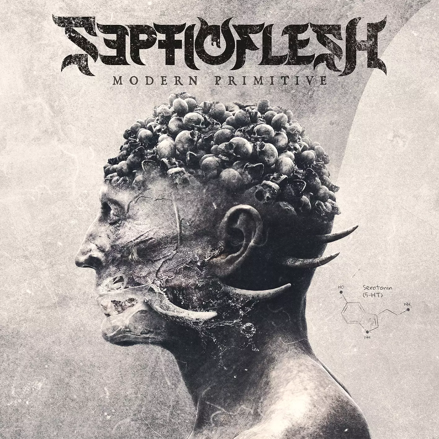 Modern Primitive, CD - Muzyka