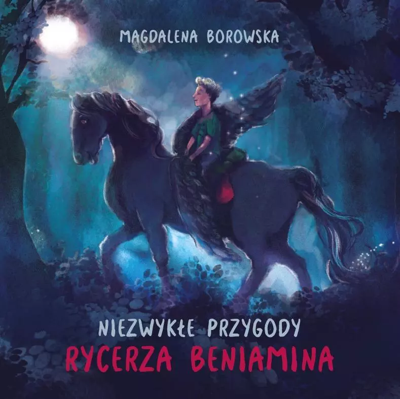 Niezwykłe przygody rycerza Beniamina - Książki