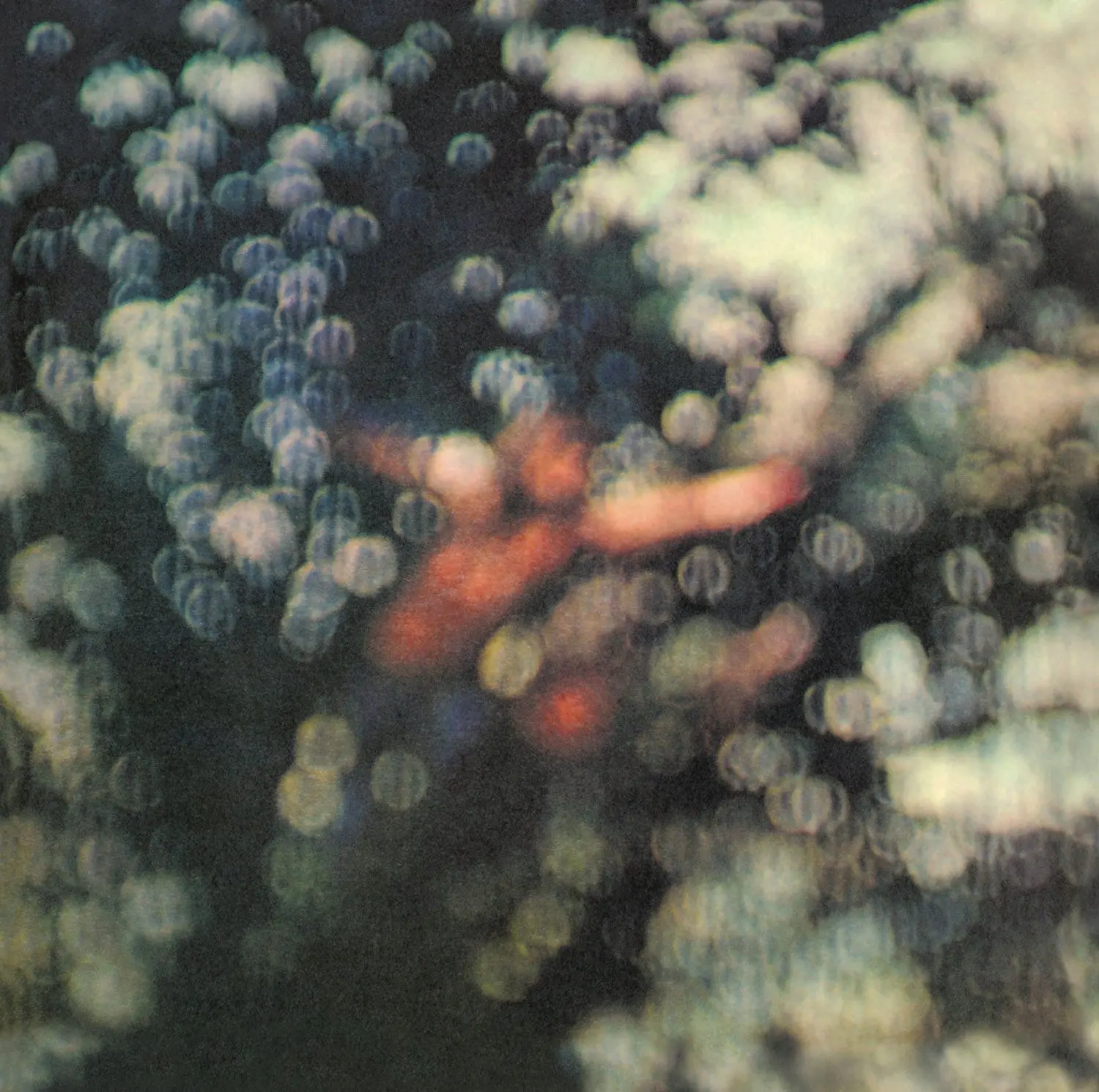 Obscured By Clouds, Winyl - Muzyka