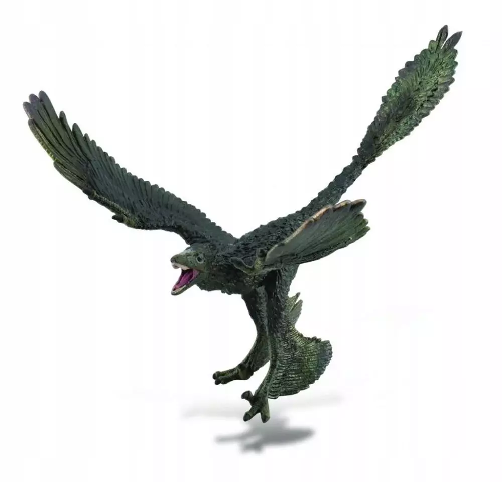 Dinozaur Microraptor - Gry