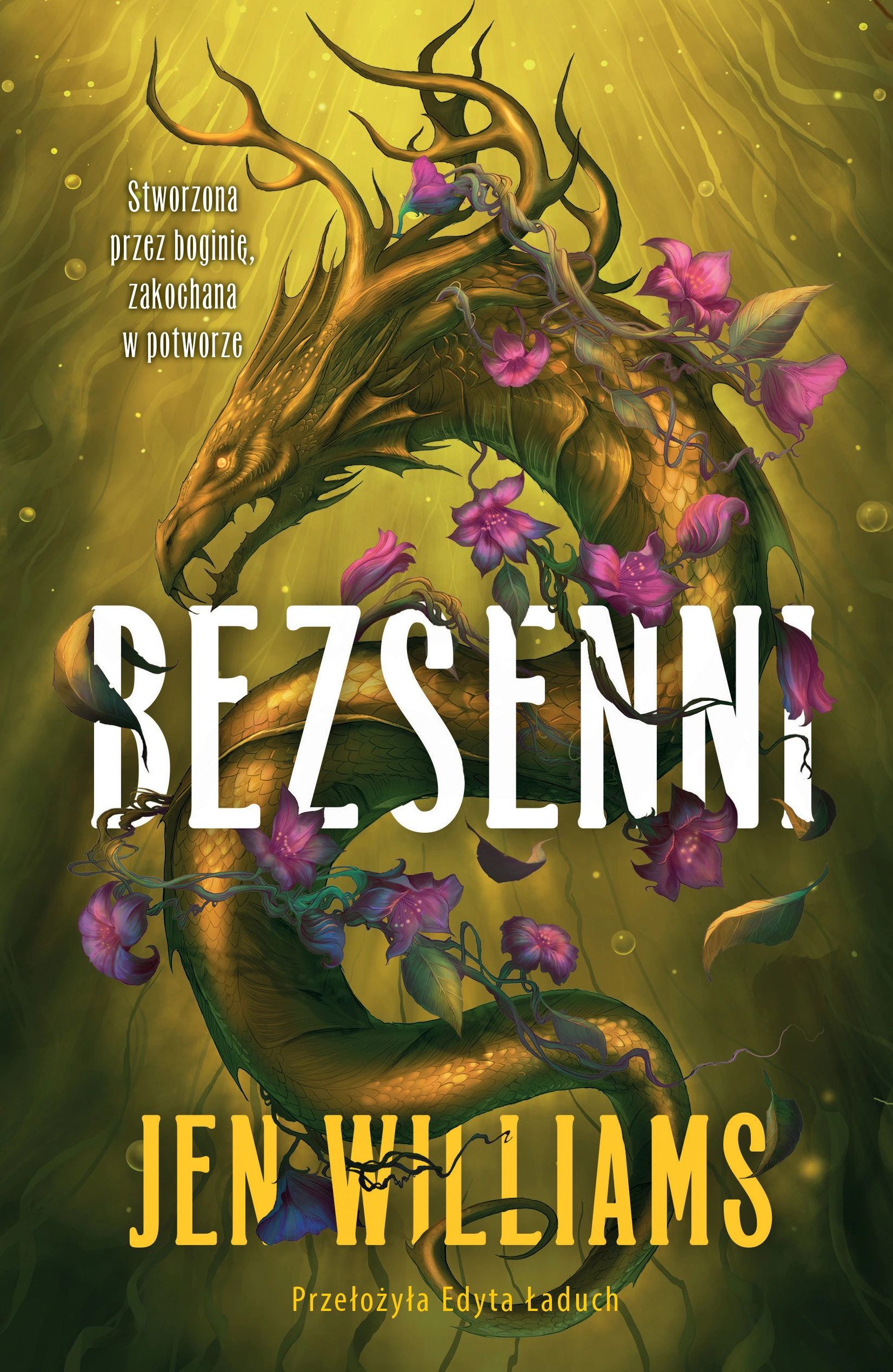 Bezsenni - Książki