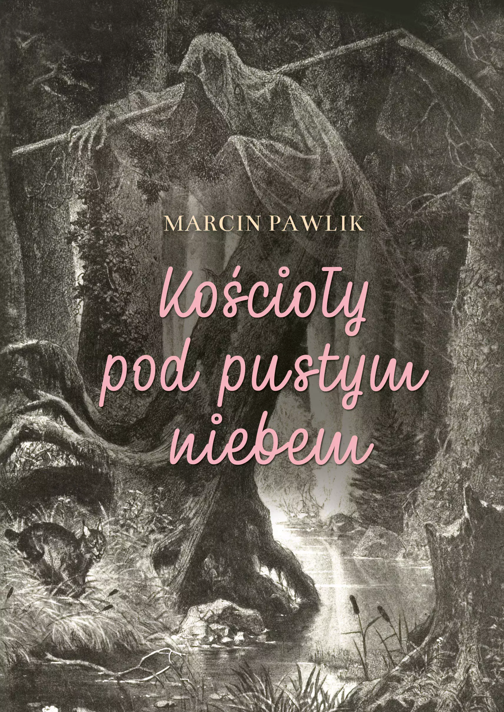Kościoły pod pustym niebem - Książki