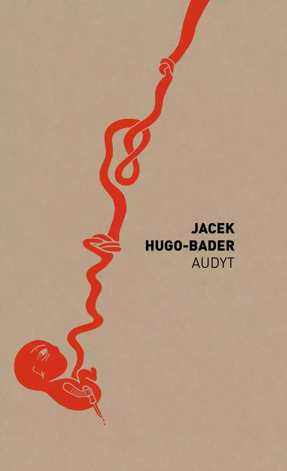 Audyt - Książki