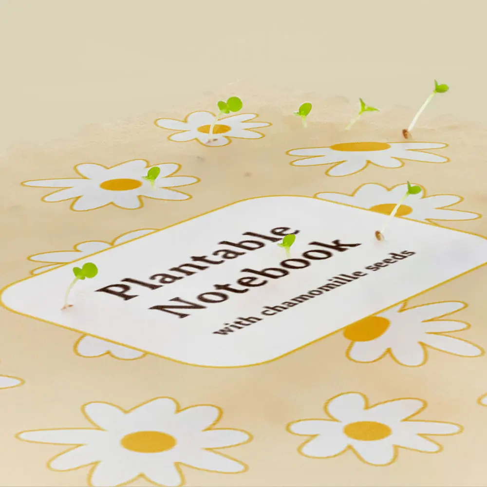 Notes do zasadzenia Resetea – rumianek - Książki