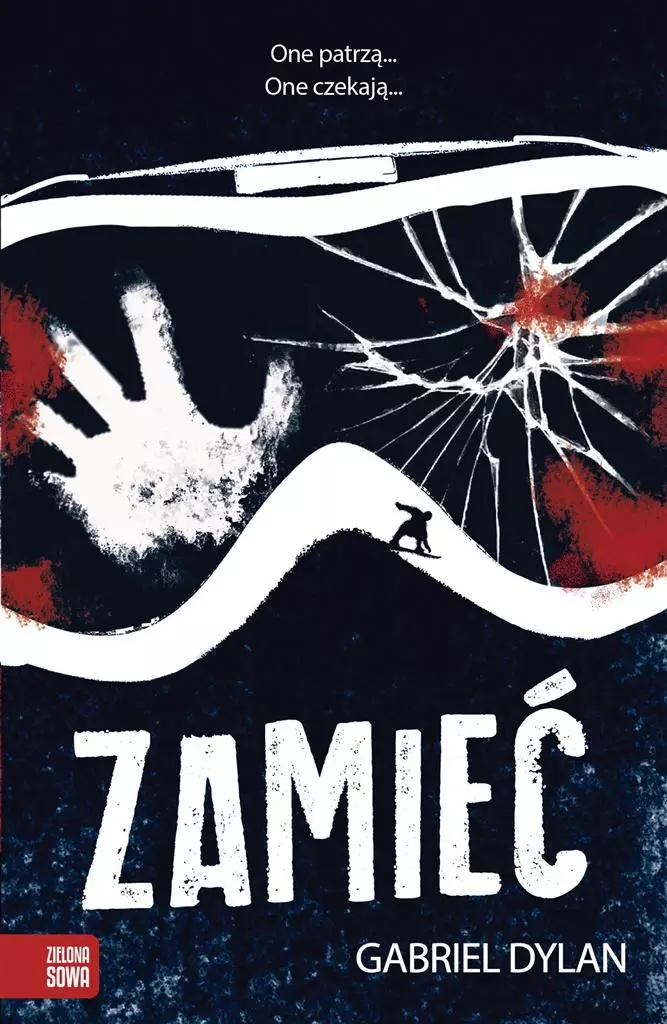 Zamieć - Książki