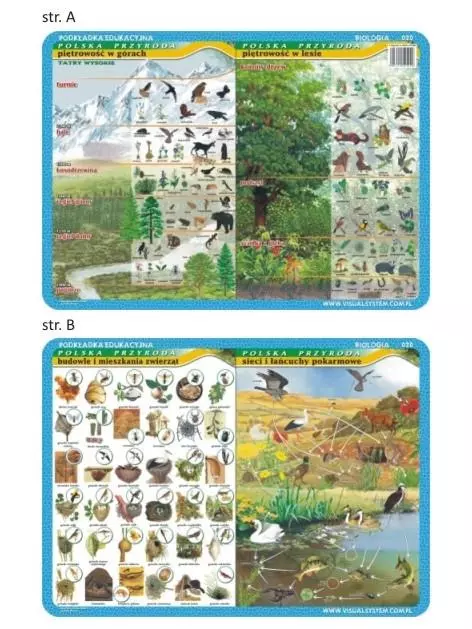 Podkładka edu. 020 - Piętrowość w górach i lesie.. - Papiernicze i szkolne