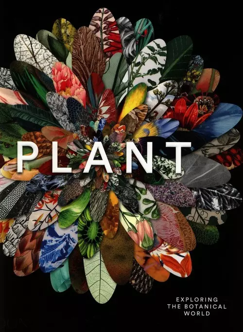 Plant Exploring the Botanical World - Książki
