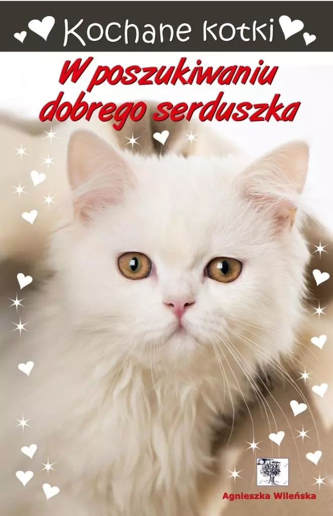 Kochane kotki. W poszukiwaniu dobrego serduszka - Książki