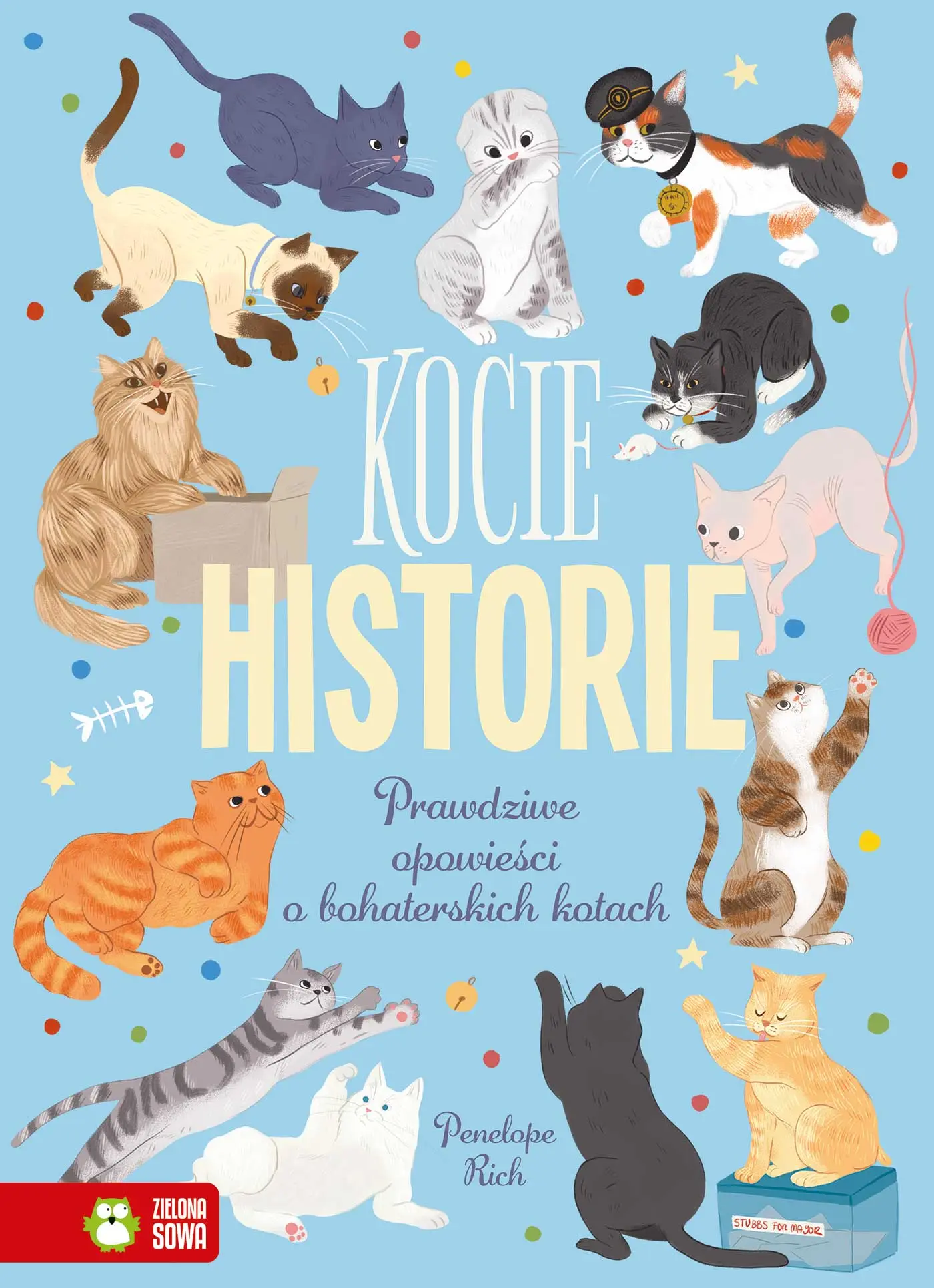 Kocie historie - Książki