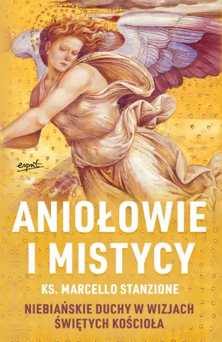 Aniołowie i mistycy. Niebiańskie duchy w wizjach świętych Kościoła - Książki