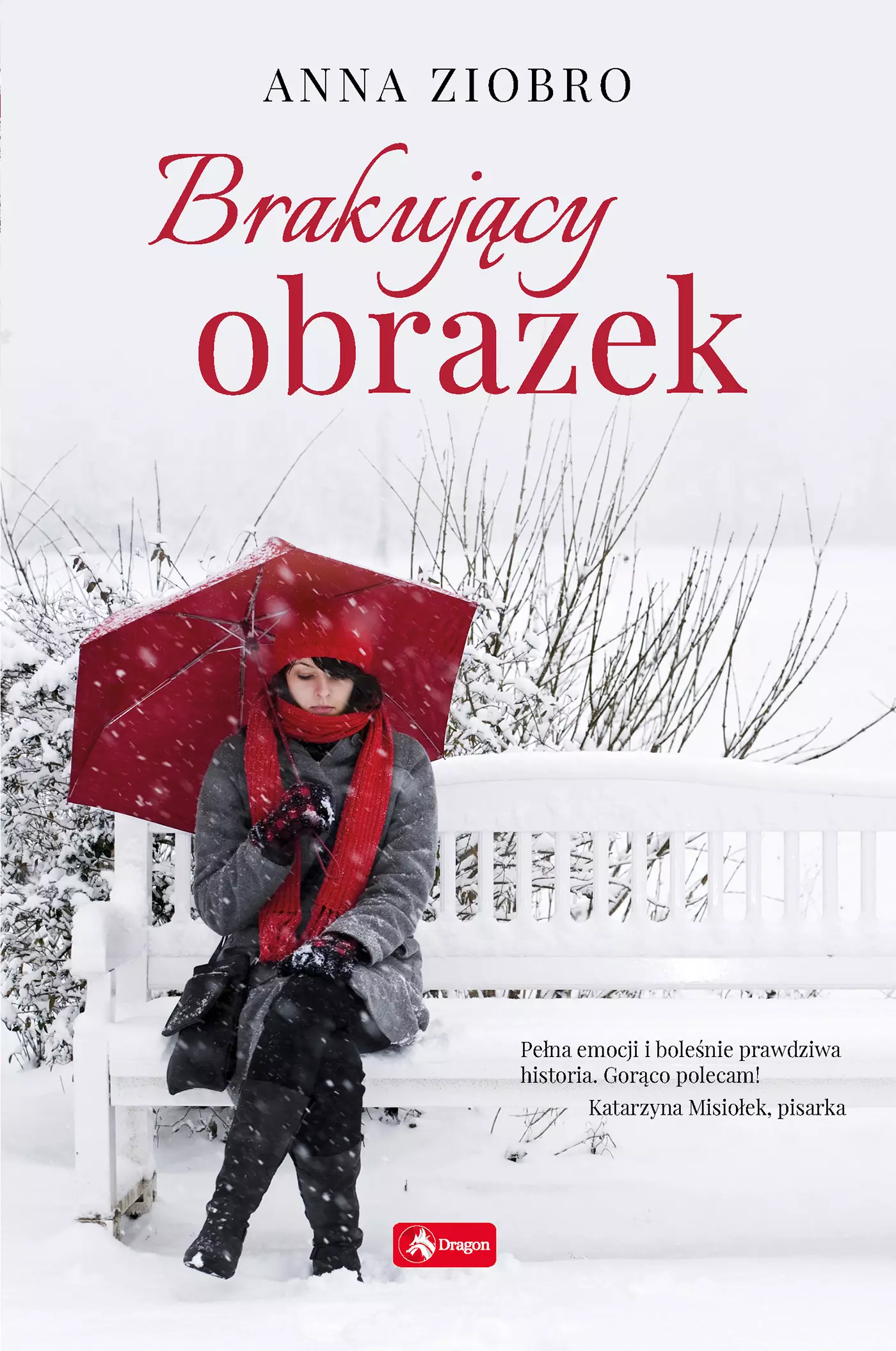 Brakujący obrazek - Książki