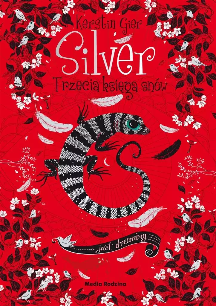 Silver - trzecia księga snów - Książki