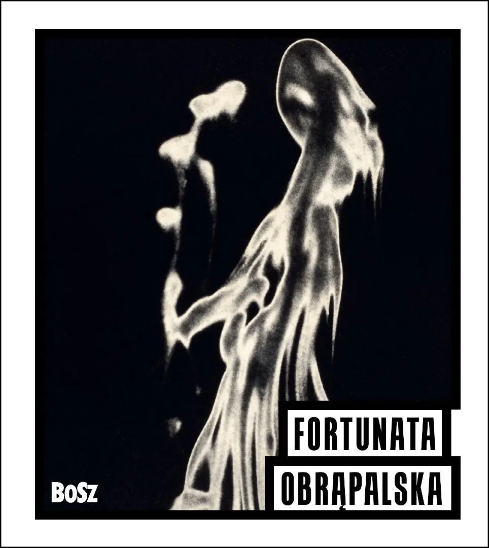 Fortunata Obrąpalska. Mistrzowie Polskiej... - Książki