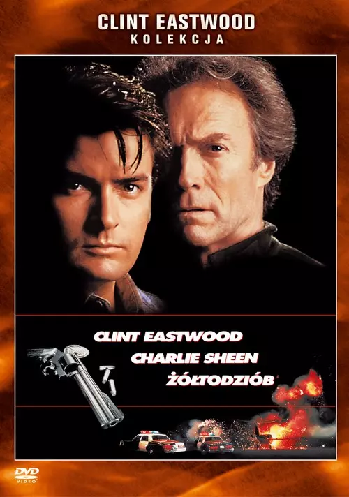 Żółtodziób, DVD - Filmy
