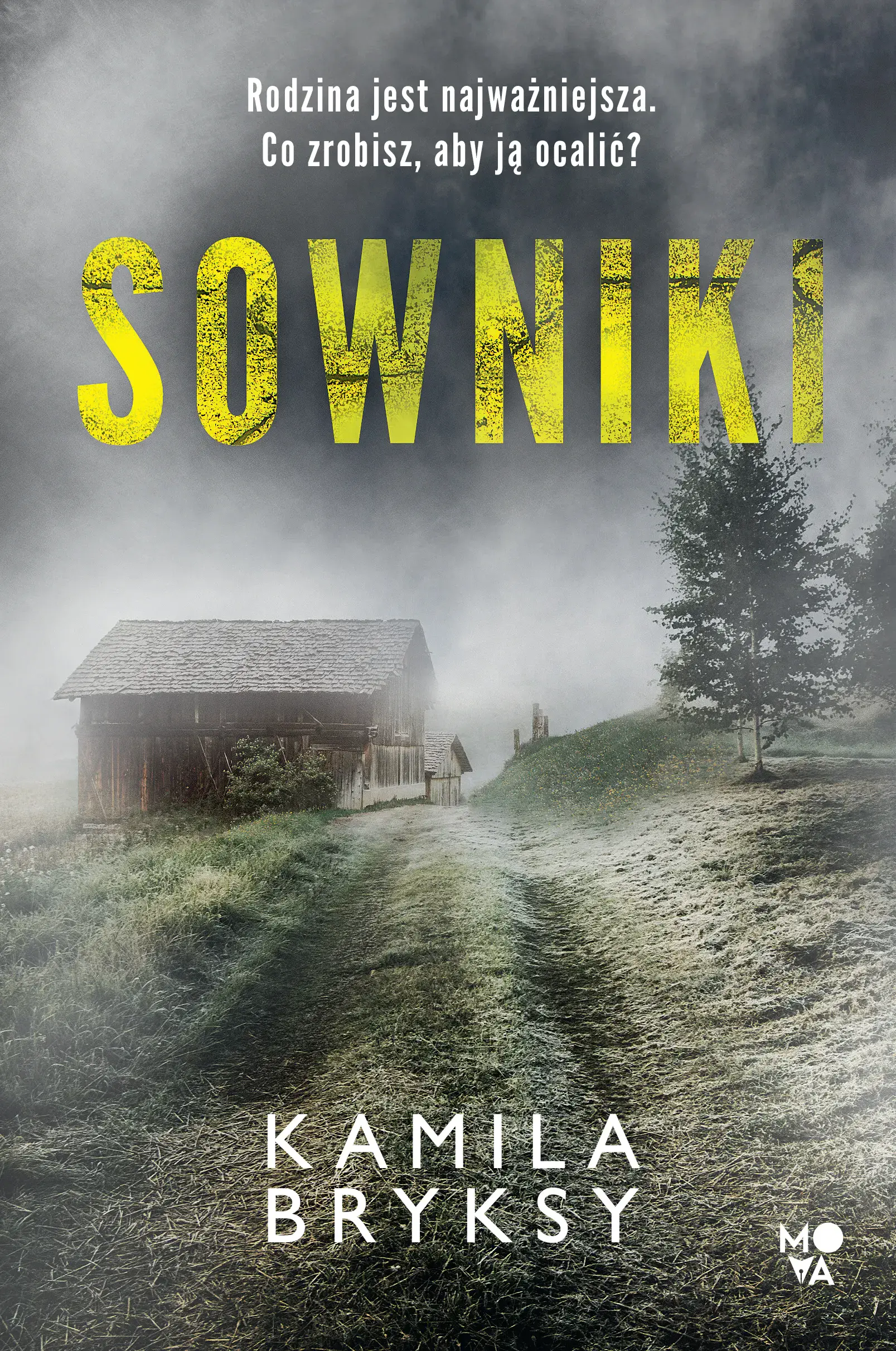 Sowniki - Książki
