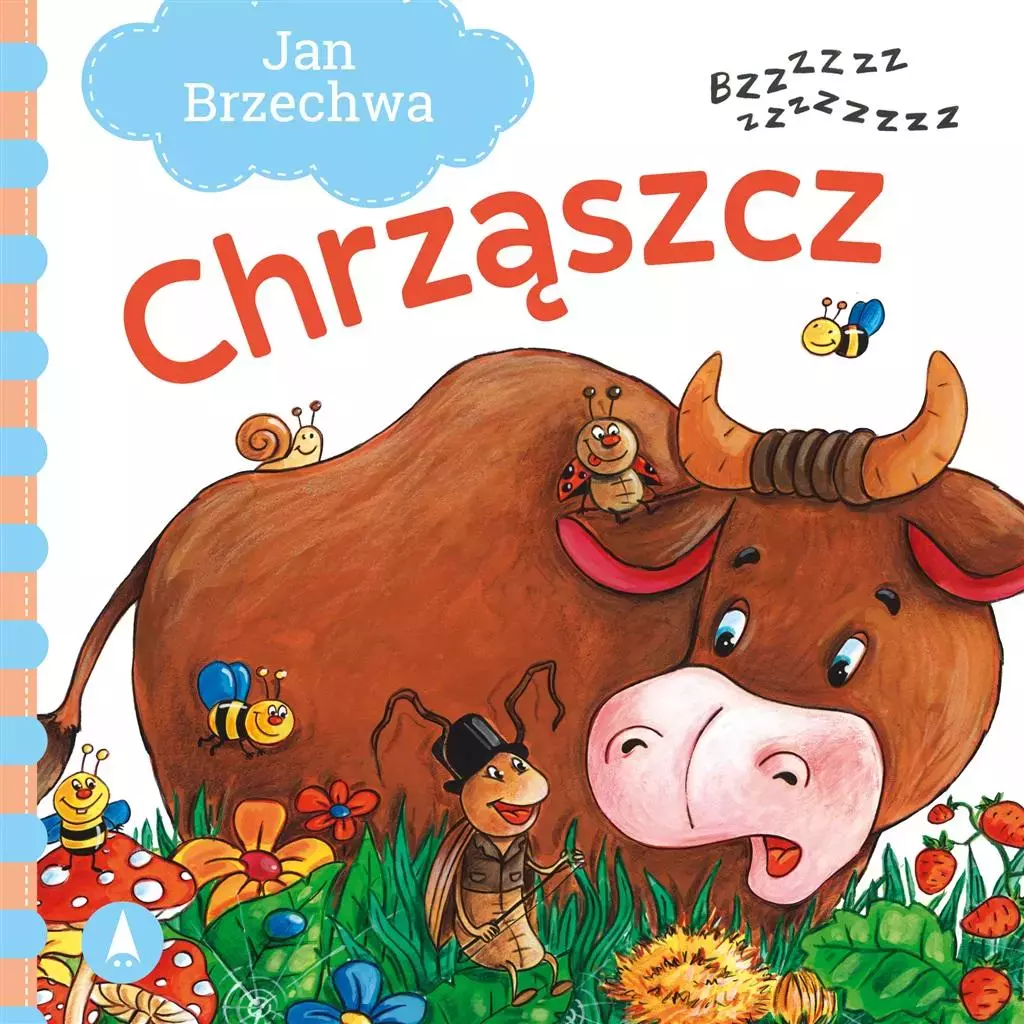 Chrząszcz - Książki