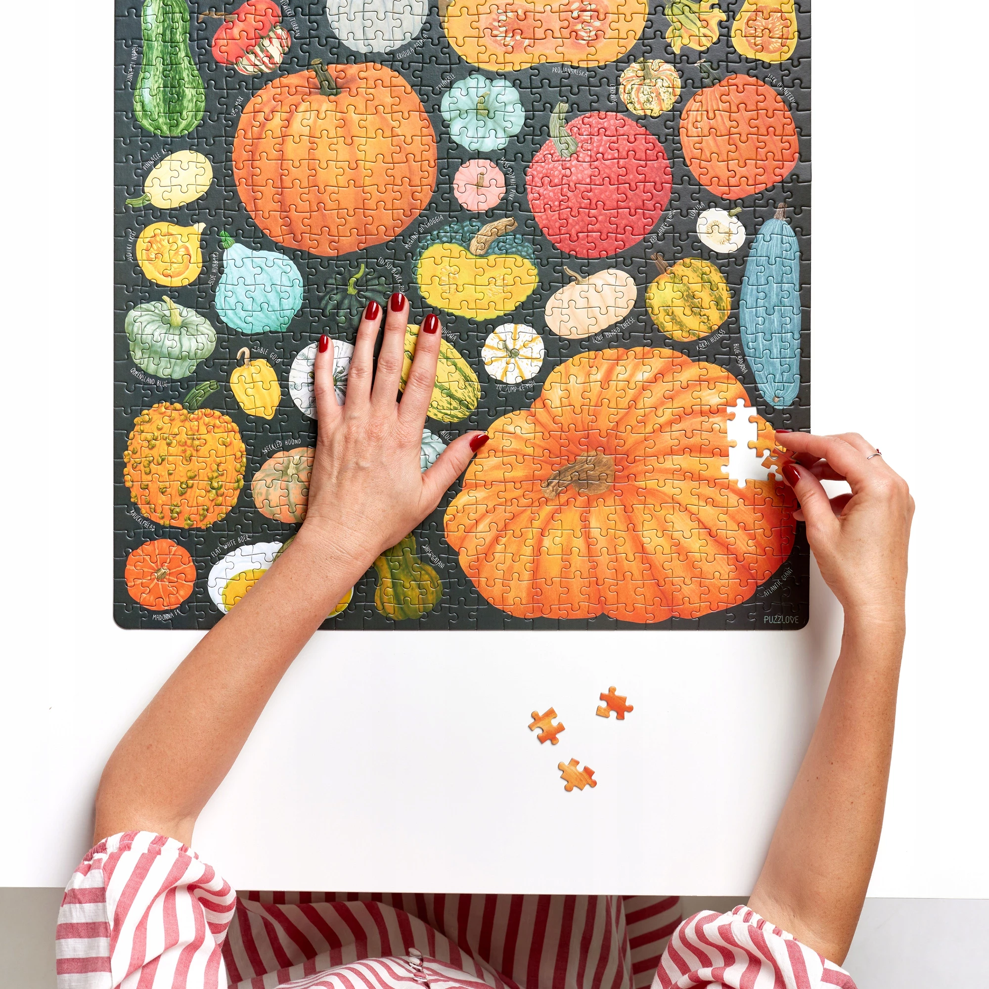 Puzzlove CzuCzu 1000 elementów. Dynie - Puzzle