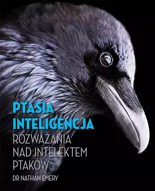 Ptasia inteligencja. Rozważania nad intelektem ptaków - Książki
