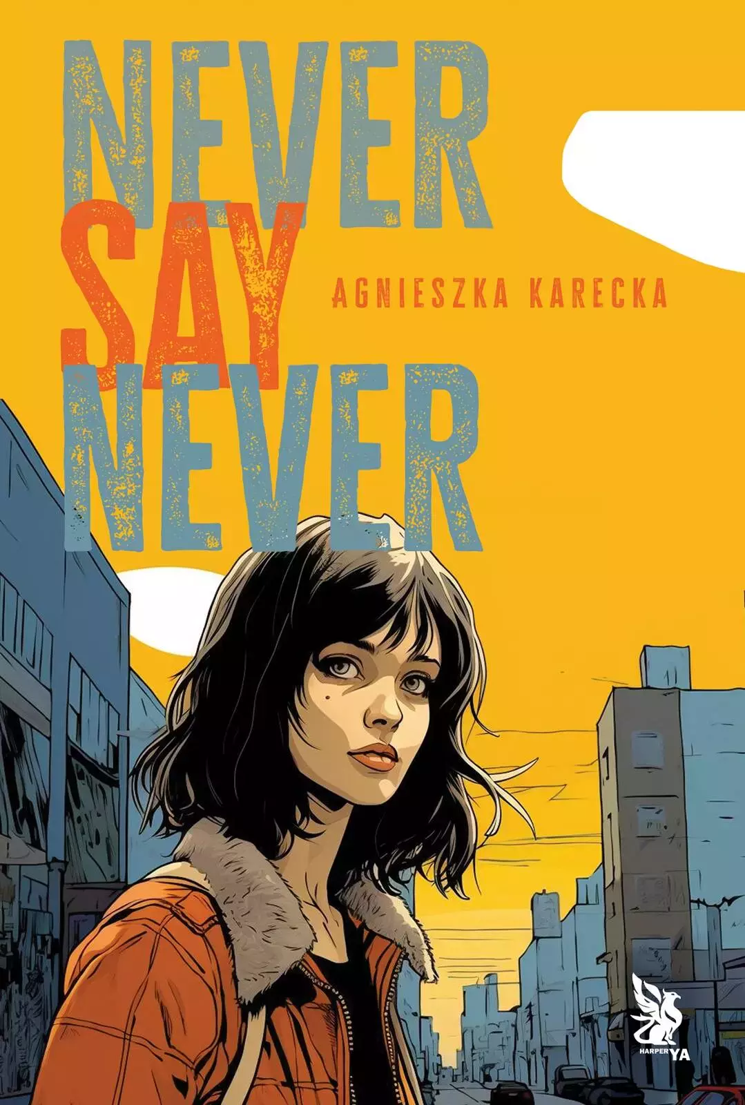 Never Say Never - Książki