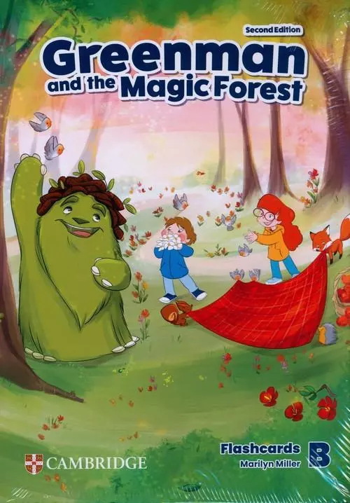 Greenman and the Magic Forest Level B Flashcards - Książki