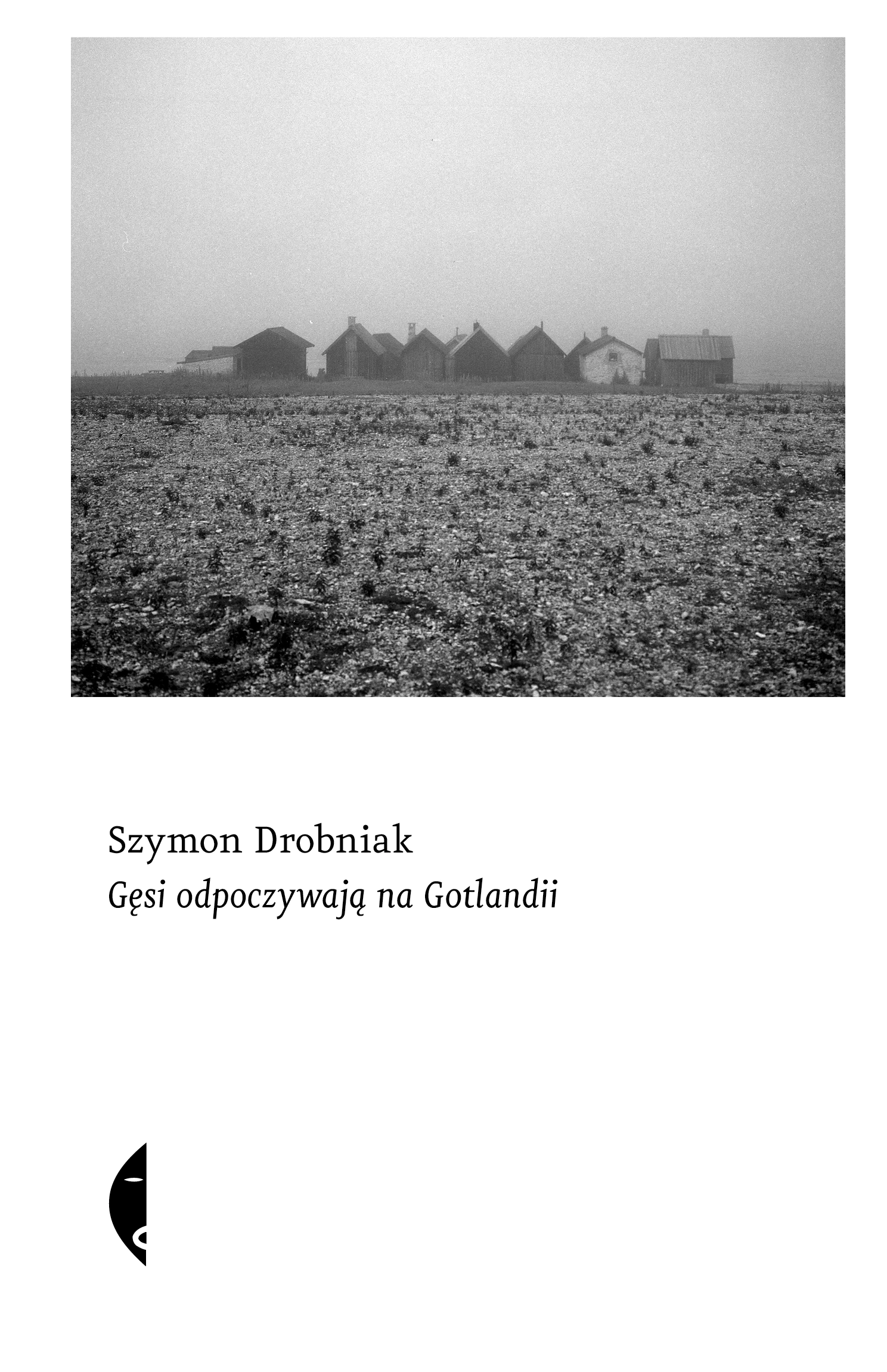 Gęsi odpoczywają na Gotlandii - Książki