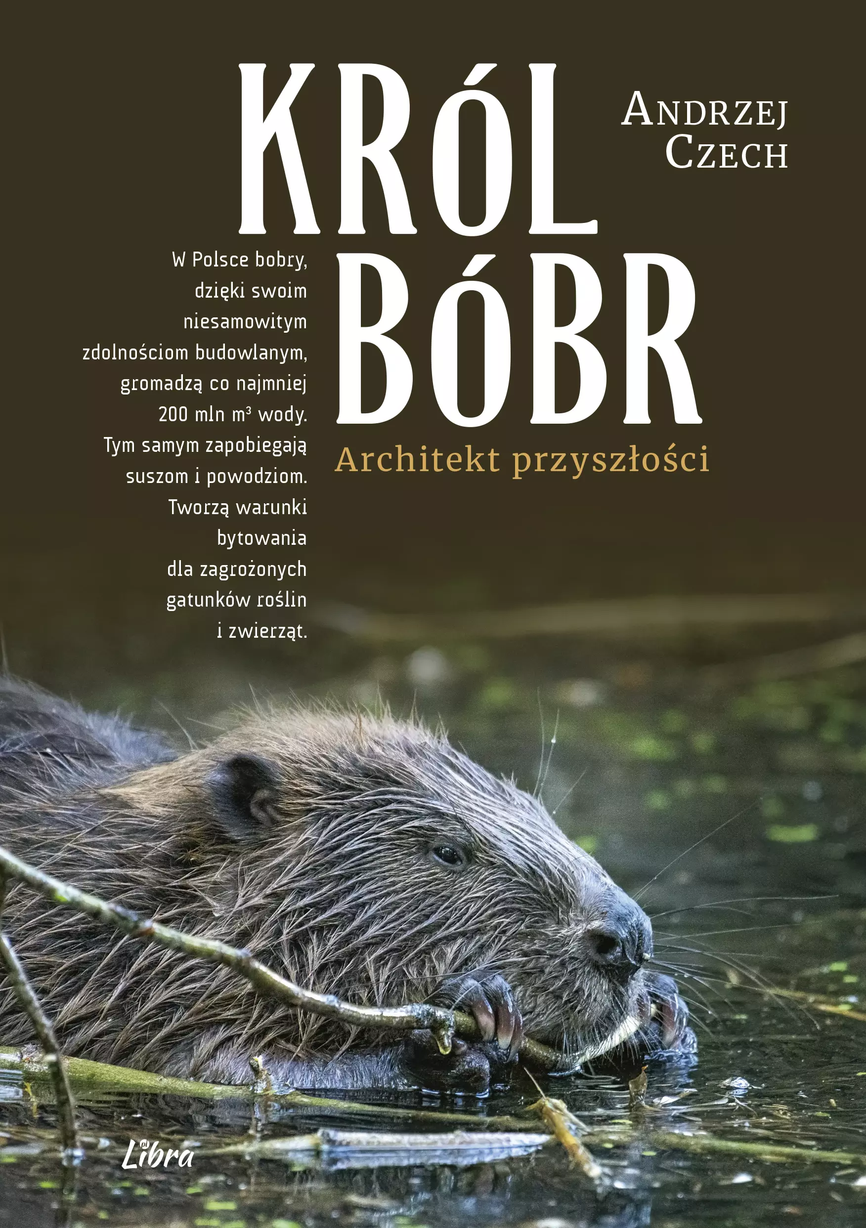 Król Bóbr - Książki