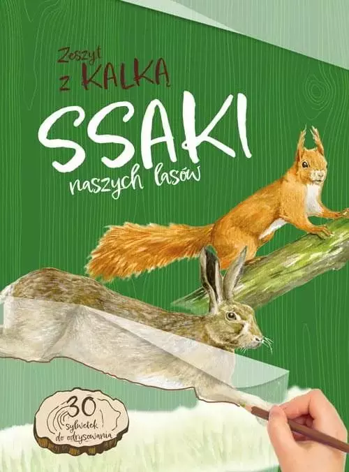 Ssaki naszych lasów. Zeszyt z kalką - Książki