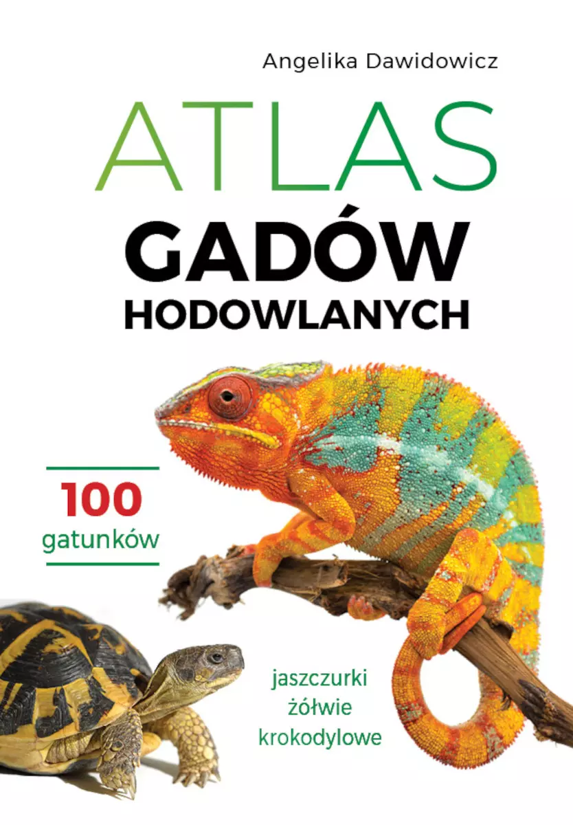 Atlas gadów hodowlanych. 100 gatunków. Jaszczurki, żółwie, krokodylowe - Książki