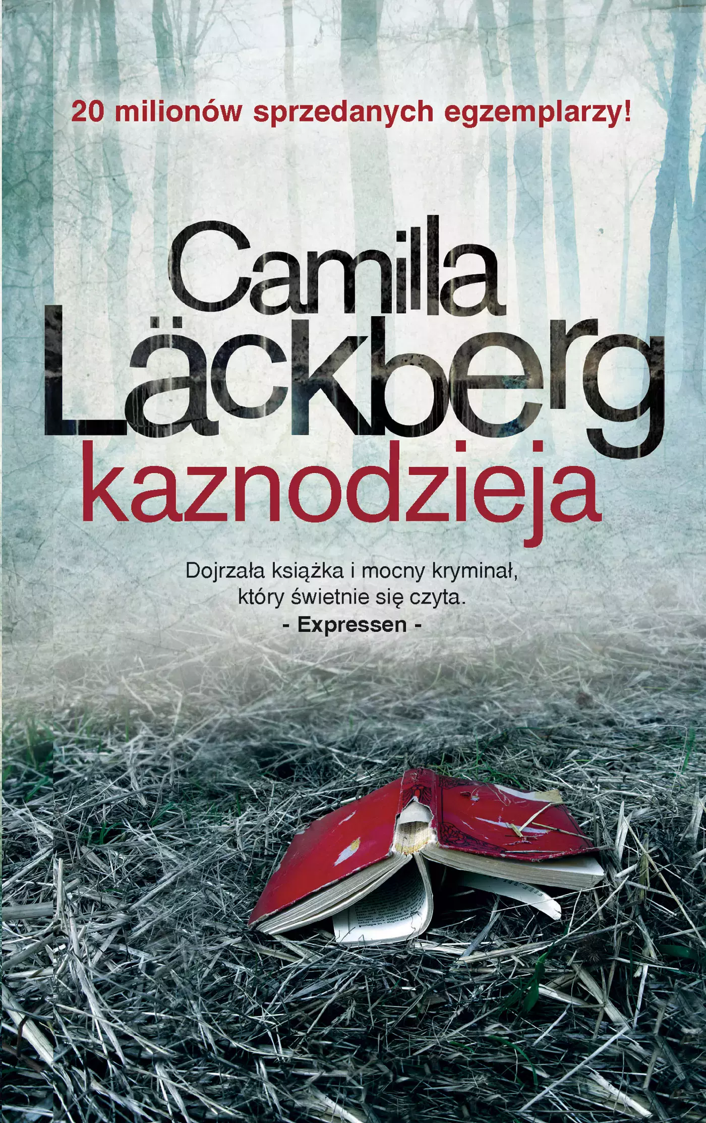 Kaznodzieja - Książki