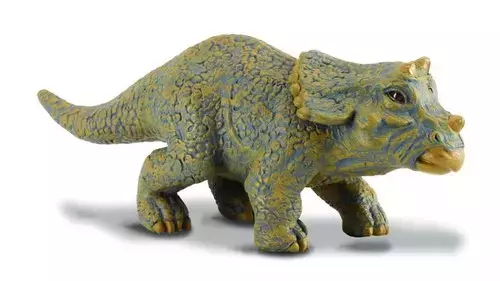 Dinozaur młody Triceratops - Gry