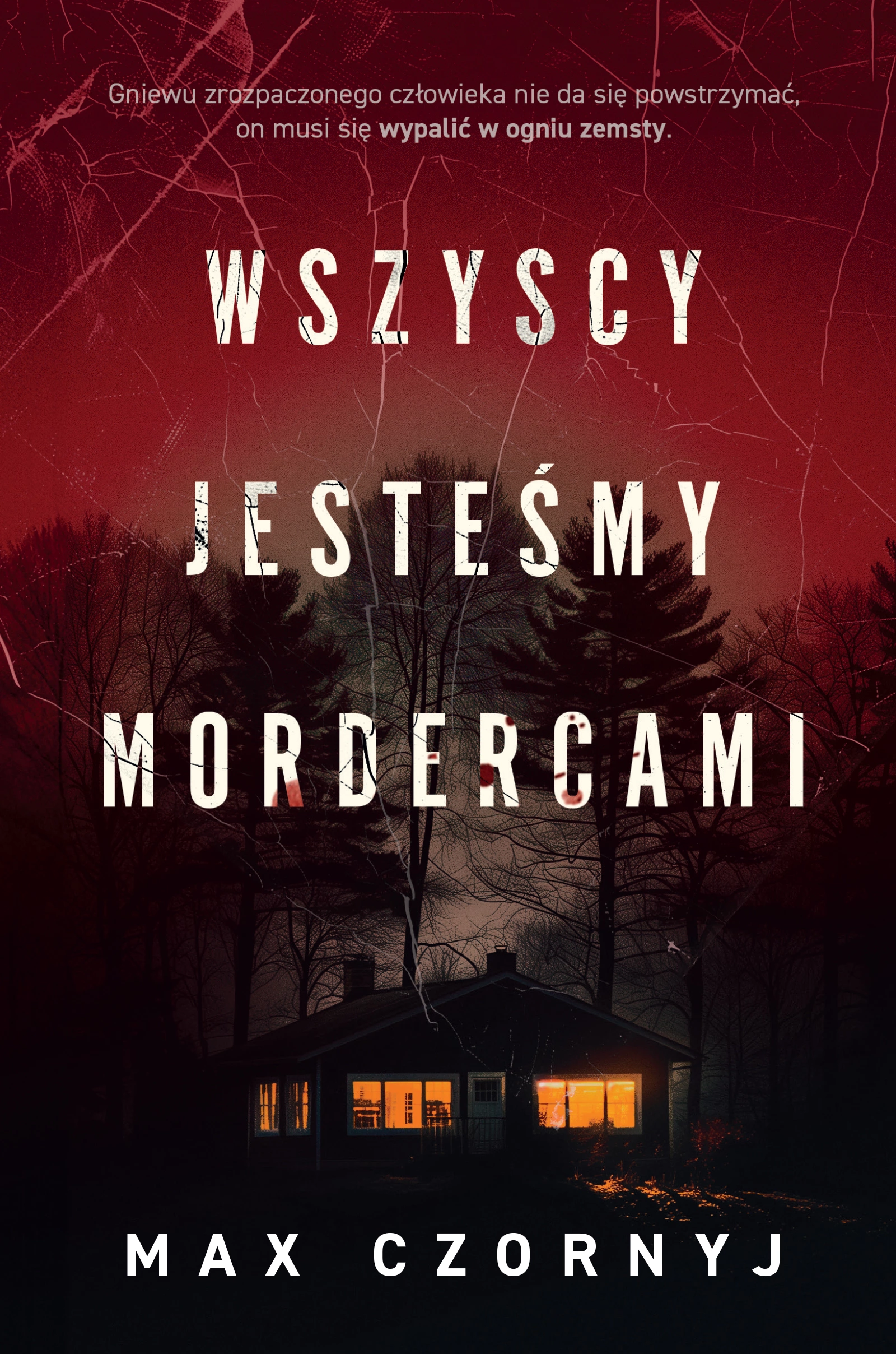 Wszyscy jesteśmy mordercami - Książki